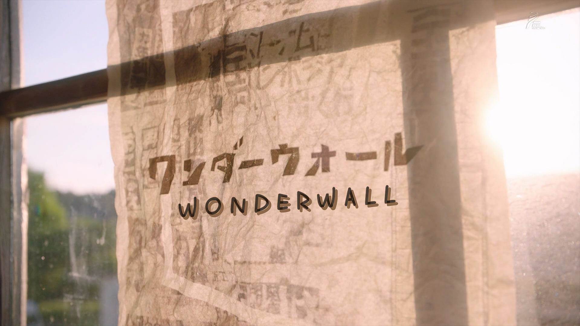 WONDERWALL2018ļSPȫ
