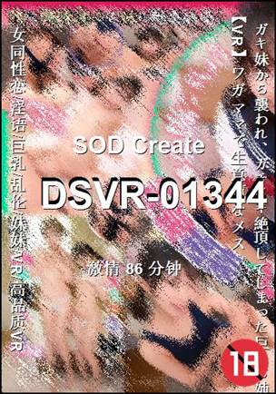 DSVR-01344torrent