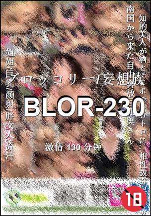 BLOR-230torrent