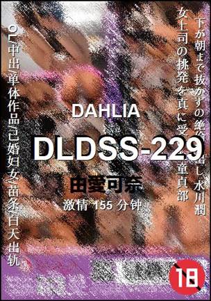 DLDSS-229