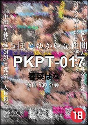 PKPT-017torrent