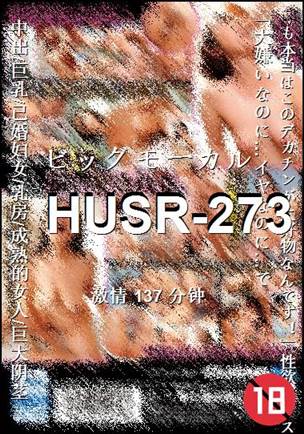 HUSR-273torrent