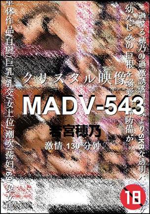 MADV-543torrent