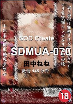 SDMUA-070