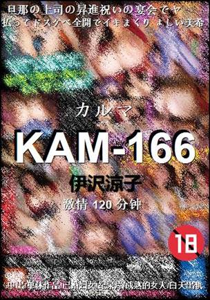 KAM-166