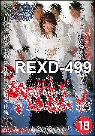 REXD-499torrent