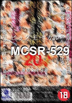 MCSR-529torrent
