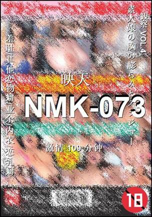 NMK-073torrent