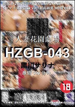 HZGB-043