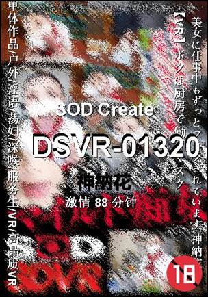 DSVR-01320torrent