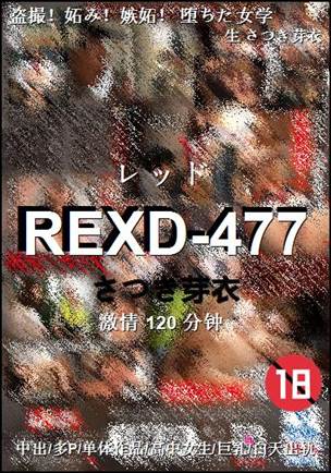 REXD-477torrent