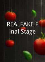 REAL FAKE Final Stageȫ