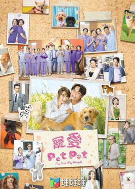 谮Pet Petȫ