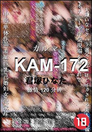 KAM-172torrent