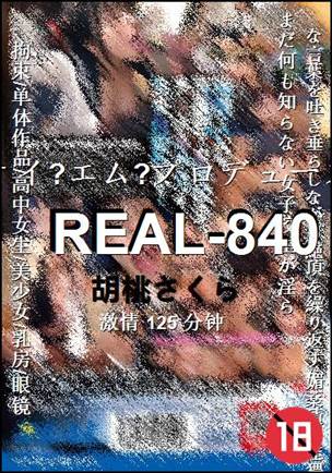 REAL-840torrent