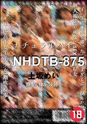 NHDTB-875