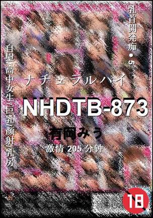 NHDTB-873torrent