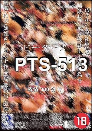 PTS-513torrent