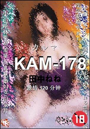 KAM-178torrent