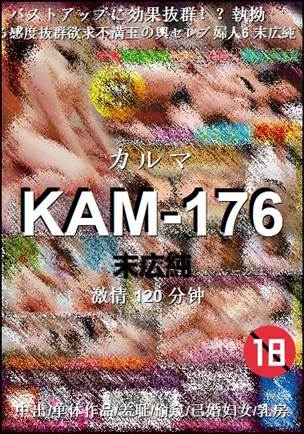 KAM-176torrent
