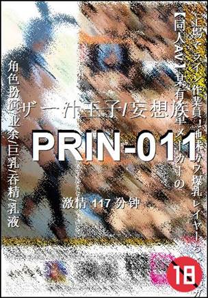 PRIN-011