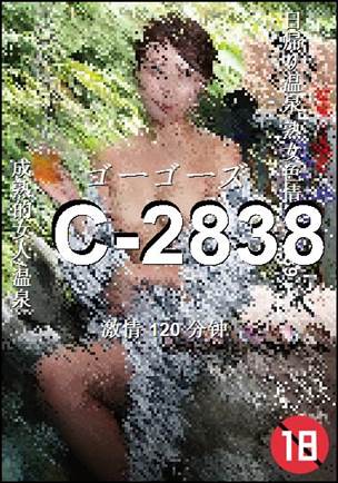 C-2838torrent