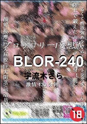 BLOR-240