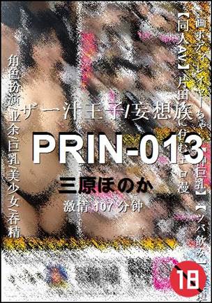 PRIN-013