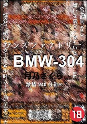 BMW-304