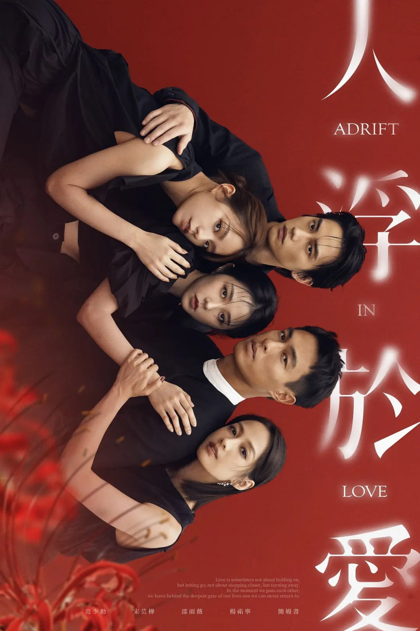 �˸��ڰ��첥