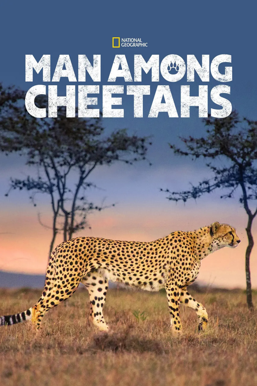 Ϊĸǿ첥