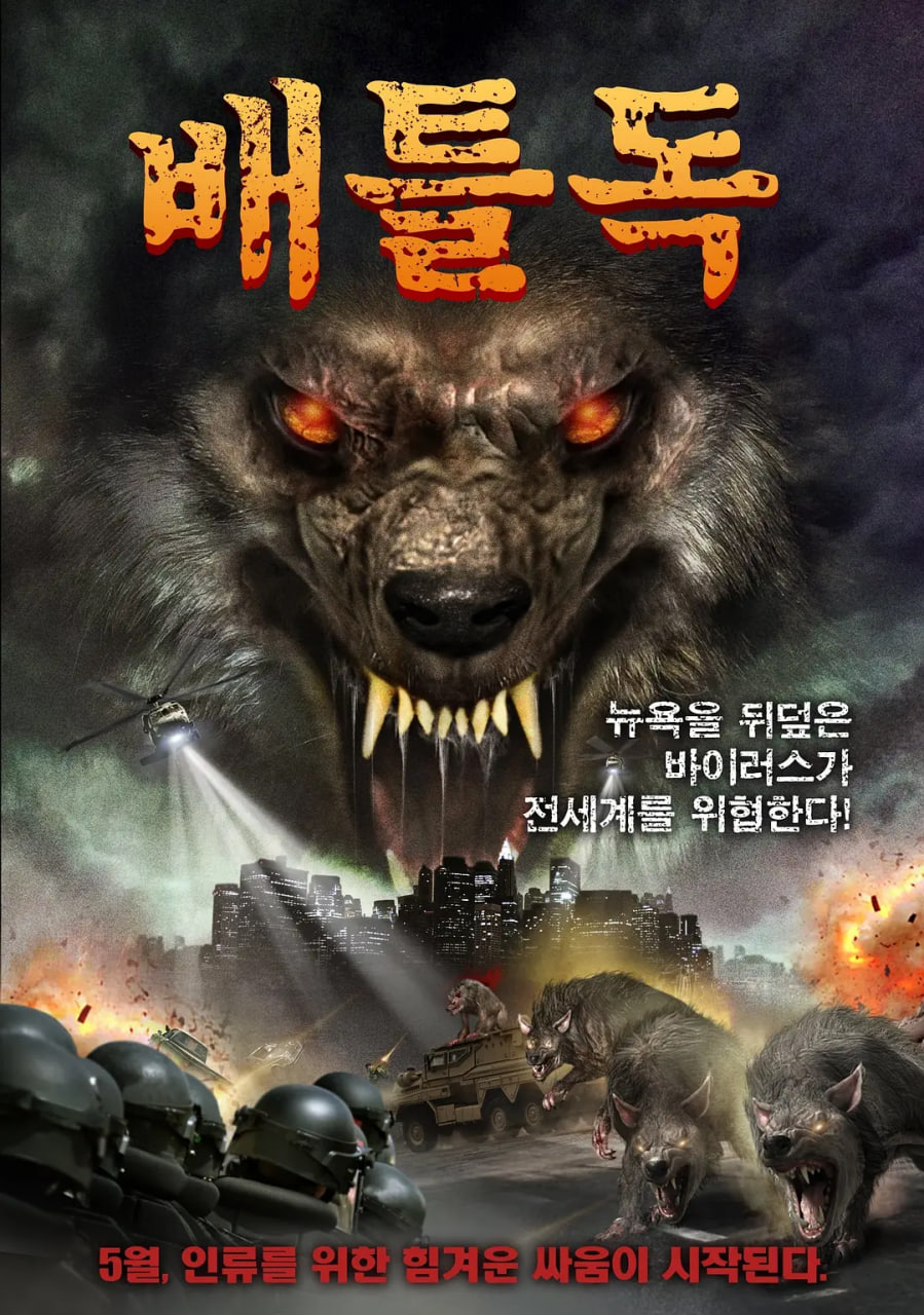 սȮӰ���ȷ�