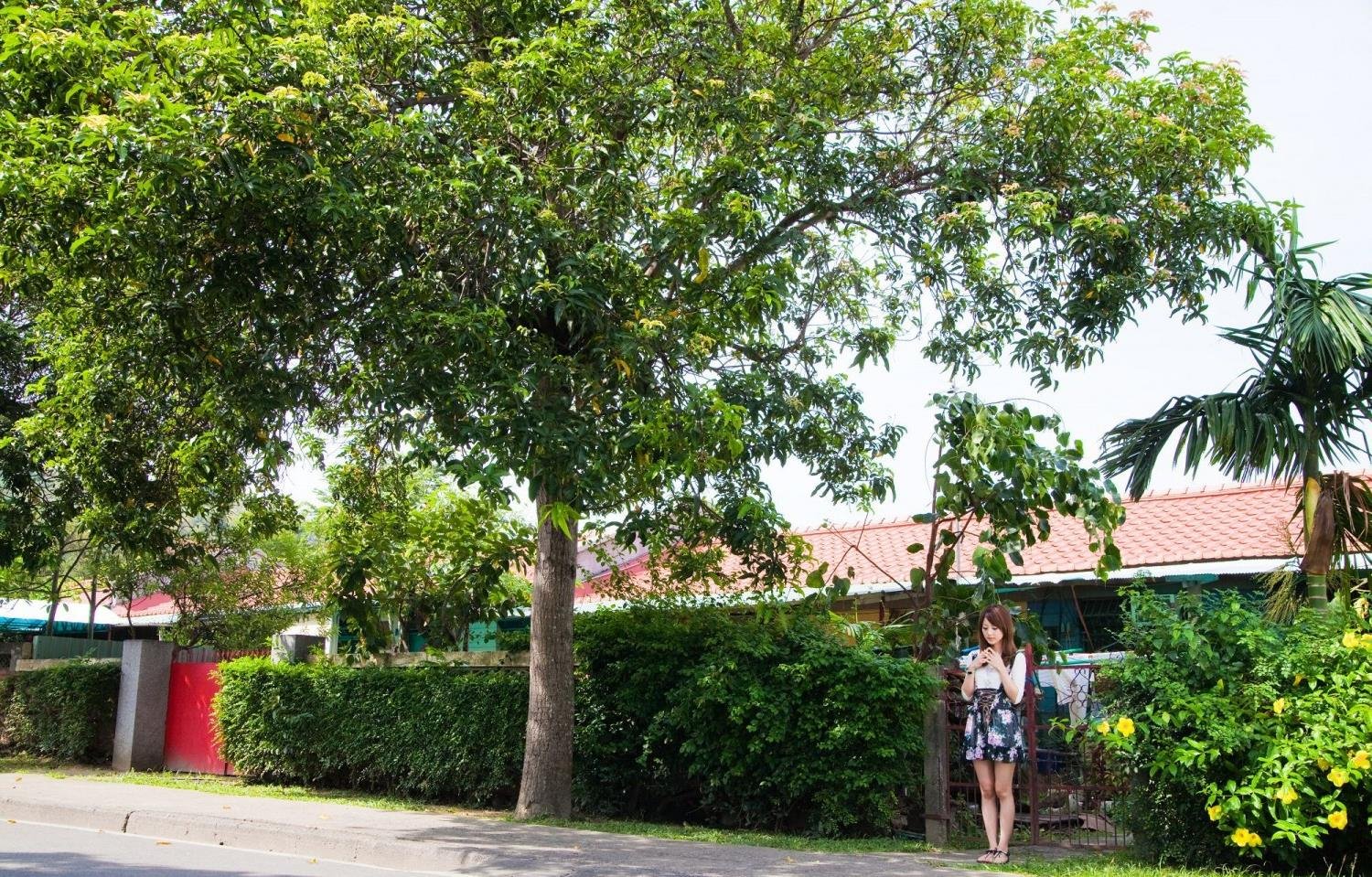 ������С��ϷӰ���ȷ�