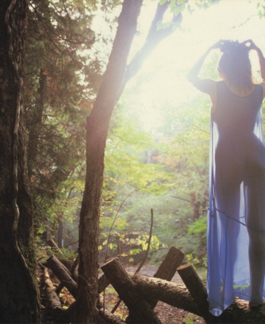 ��������ed2kȫ��