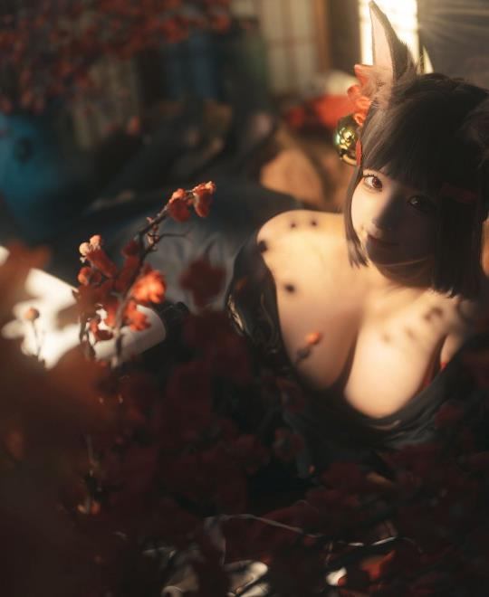 ɫ��ɫ��ַ��ȫȫ��